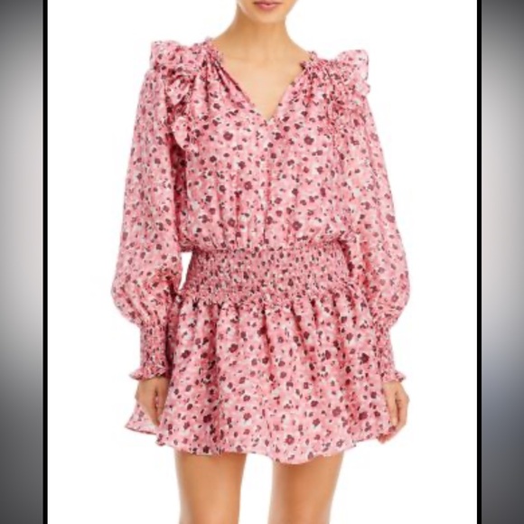 Ramy Brook Dresses & Skirts - Ramy Brook Penelope Floral Pink Ruffled Dress small